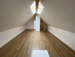 Dachspitz - Bild 3 von 3